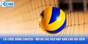 Cá Cược Bóng Chuyền - Mở Ra Các Kèo Hấp Dẫn Cho Hội Viên