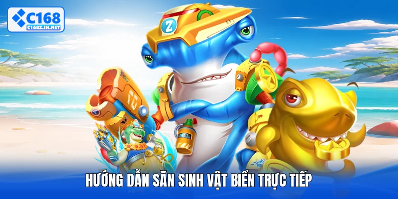 Hướng dẫn săn sinh vật biển trực tiếp