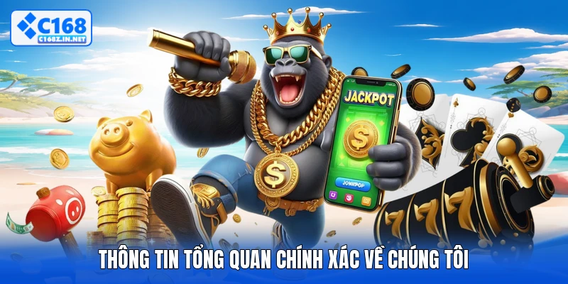 Thông tin tổng quan chính xác về chúng tôi