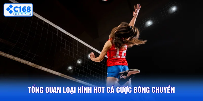 Tổng quan loại hình hot cá cược bóng chuyền